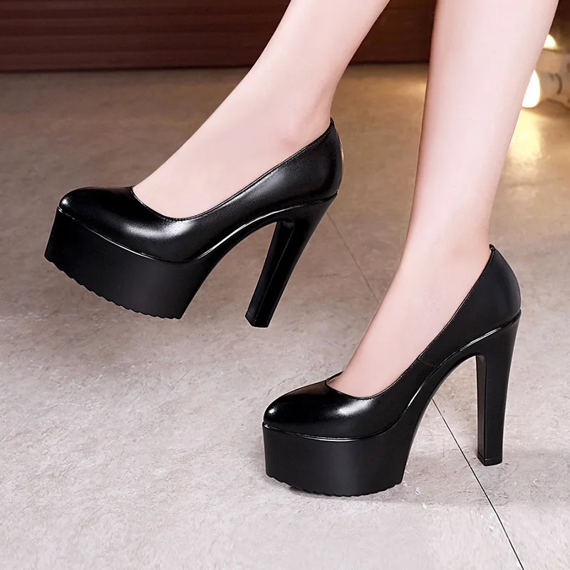 Büyük Beden 32 43 Platform Cat - Women Formal Wear For Office incelemesi ve fiyatı